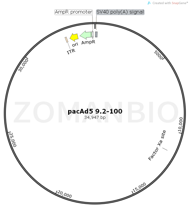 ZK1720 pacAd5 9.2-100.png
